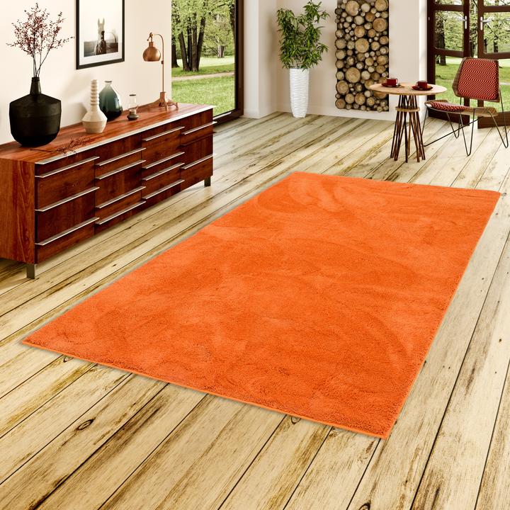 Produktbild Pergamon Luxus Super Soft Hochflor Langflor Teppich Silky (80 x 150 cm)