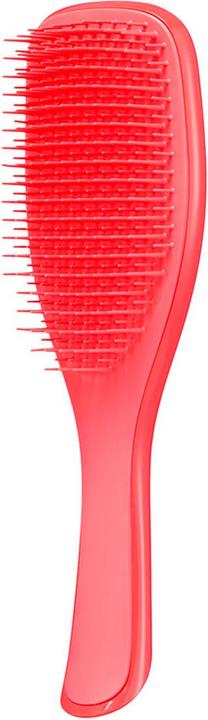Image du produit Tangle Teezer The Wet Detangler Mini