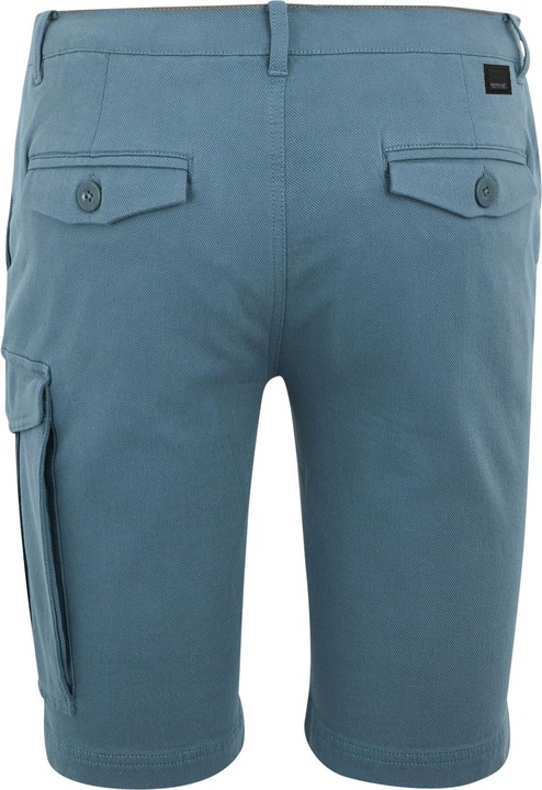 Actual product image Regatta Mens Bendrick Shorts (33)
