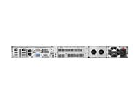 Actual product image HPE ProLiant DL20 Gen11 (32 GB, Rack Server)
