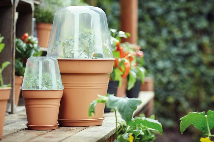 Produktbild Elho Anzuchthaus