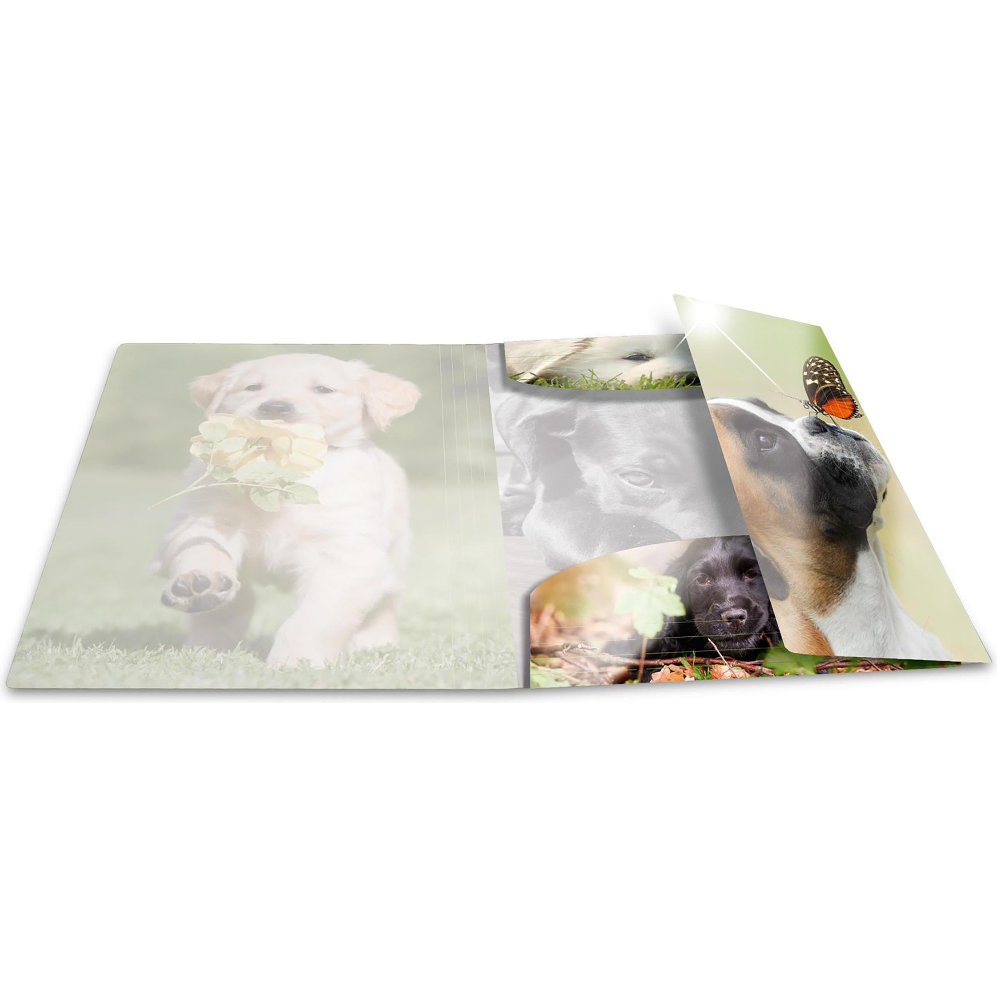Thumbnail - Herma, Mappe, Eckspannermappe "Hunde", PP Glossy, DIN A4 Masse: (B)244 x (T)4 x (H)320 mm, mit 3 Innenklappen (A4, 1 x)