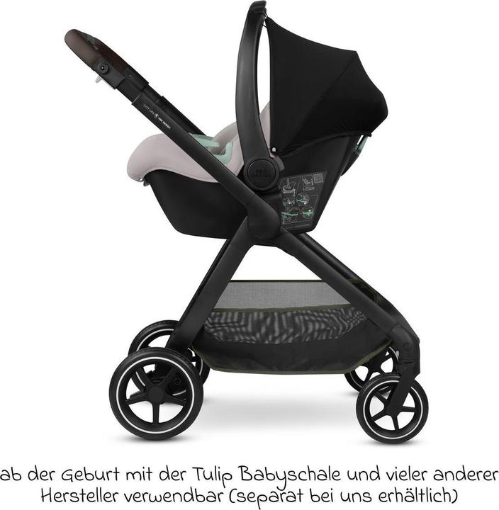 Actual product image ABC Design City Life stroller, Nature (6 Months - 4 years)