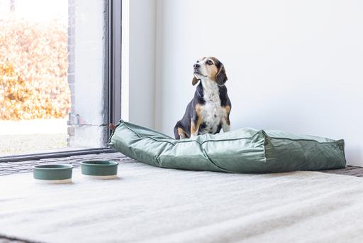 Image du produit Designed by Lotte Oreiller pour chien Nalino (Chien)