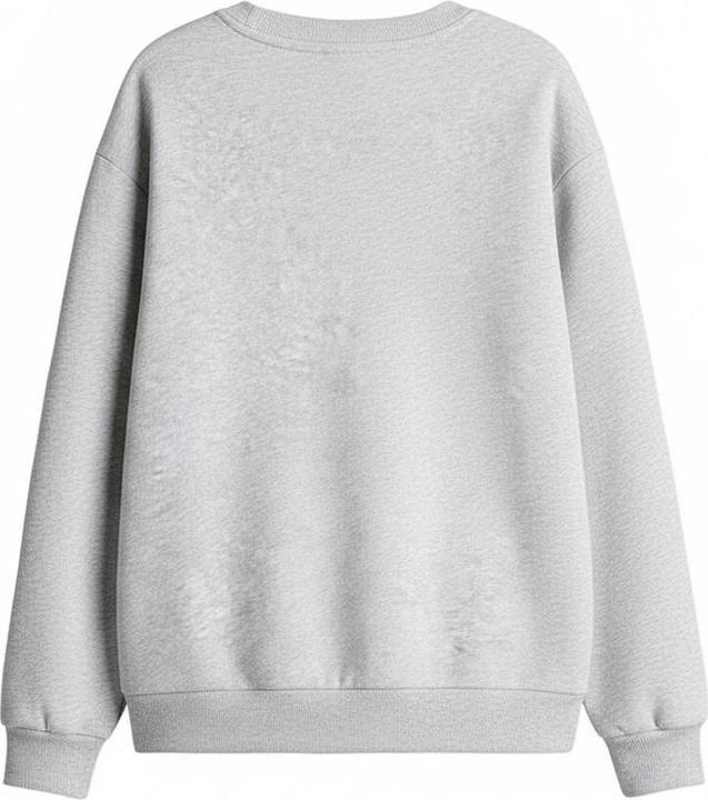 Image du produit Sweatshirt (128)