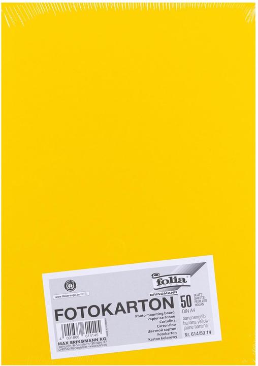 Produktbild Folia Fotokarton farbig Format A4 (300 g/m², 1 x)