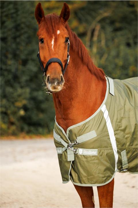 Actual product image Stallone Grazing rug 200 g Outdoor Guard (145 cm)