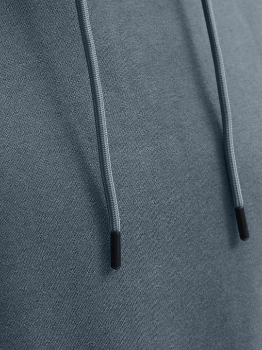 Actual product image Jack & Jones Jjebradley Sweat Hood Noos (XS)