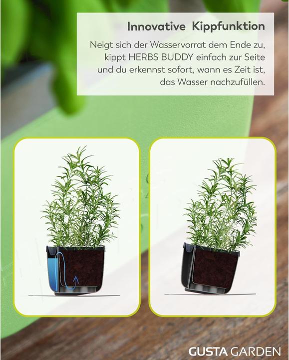 Produktbild Gusta Garden Herbs Buddy Kräutertopf (49 x 15 x 14.50 cm)
