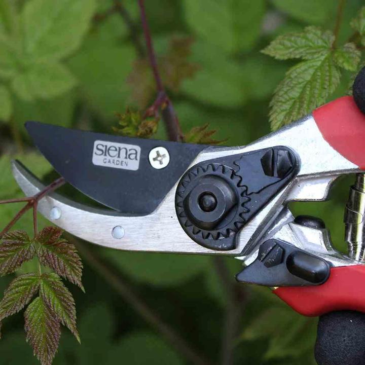 Productafbeelding Siena Garden Multifunctionele schaar