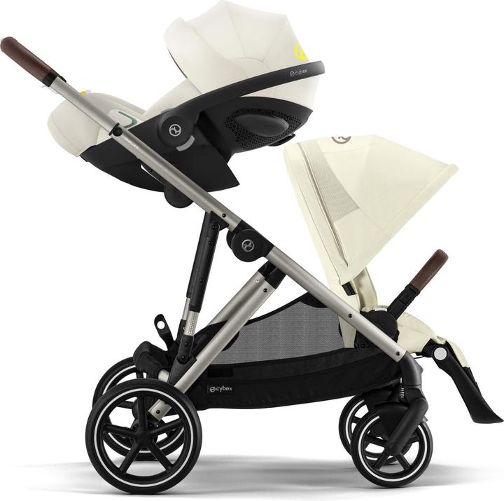 Conchiglia beige, Light Beige, Talpa