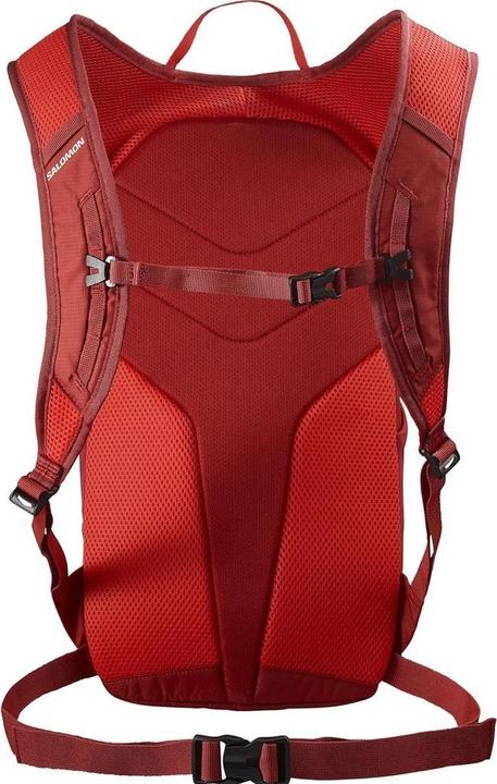 Actual product image Salomon Trailblazer Backpack (30 l)