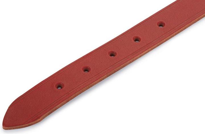 Produktbild Beeztees BZ LEDERHALSBAND ROT 62X25 (Hund, Allgemein)