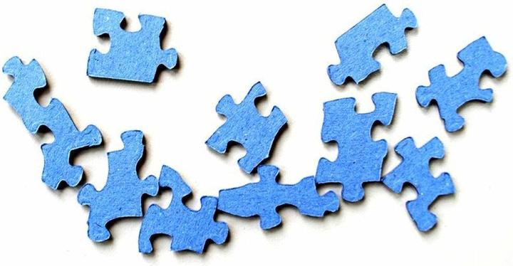 Actual product image Cobble Hill Riddle 1000 fish (1000 pieces)