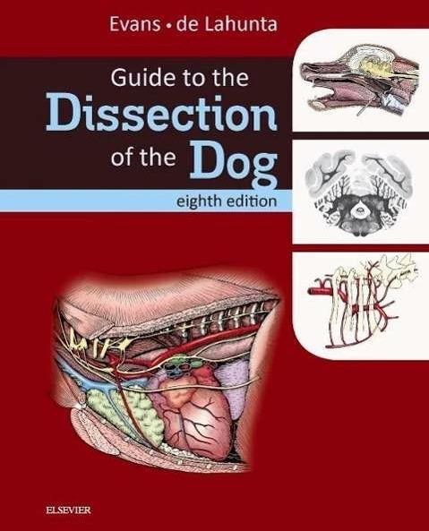Produktbild Guide to the Dissection of the Dog (Englisch, Howard E. Evans, Alexander de Lahunta, 2016)