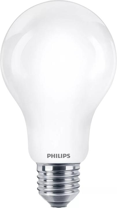 Immagine prodotto Philips Lampada (E27, 17.50 W, 2452 lm, 1 x, D)
