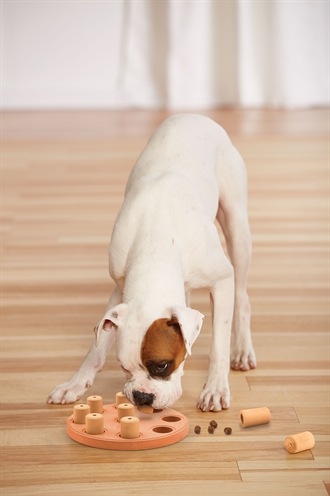 Produktbild Nina Ottosson Dog Smart CompositeLevel 1 (Intelligenzspielzeug Hund)