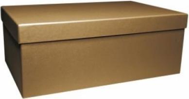 Actual product image Artoz Gift box Pure Box rectangular L Green Line