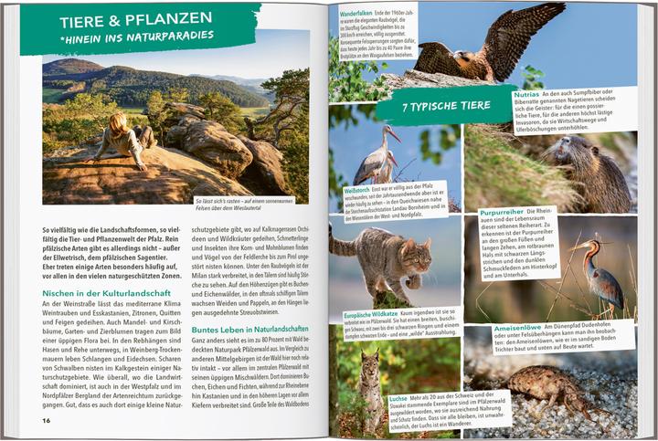 Immagine prodotto OUTDOOR GUIDE Reiseführer Pfalz (Tedesco, Thomas Diehl, 2024)
