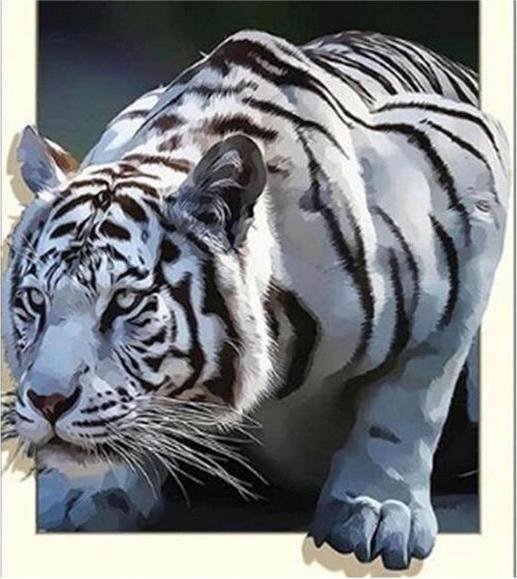 Actual product image Pracht Diamond Painting 6037-40731 White Tiger 25 x 35 cm
