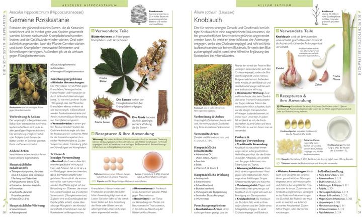 Produktbild Das grosse Lexikon der Heilpflanzen (Deutsch, Andrew Chevallier, 2017)