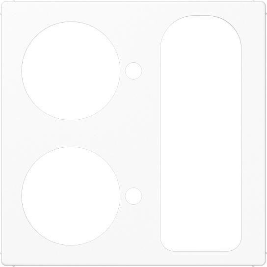 Actual product image JUNG Central plate Klinikbed 2 AS aws glz A527.252WW