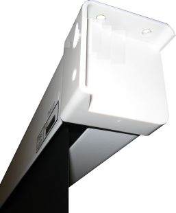 Actual product image Celexon Motor Professional, Canvas, 16:9 (66.93", 16:9)
