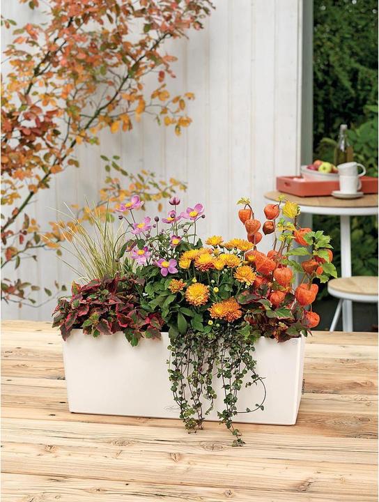 Productafbeelding Lechuza Bloempot Balconera Kleur 50 (50 x 19 x 19 cm)