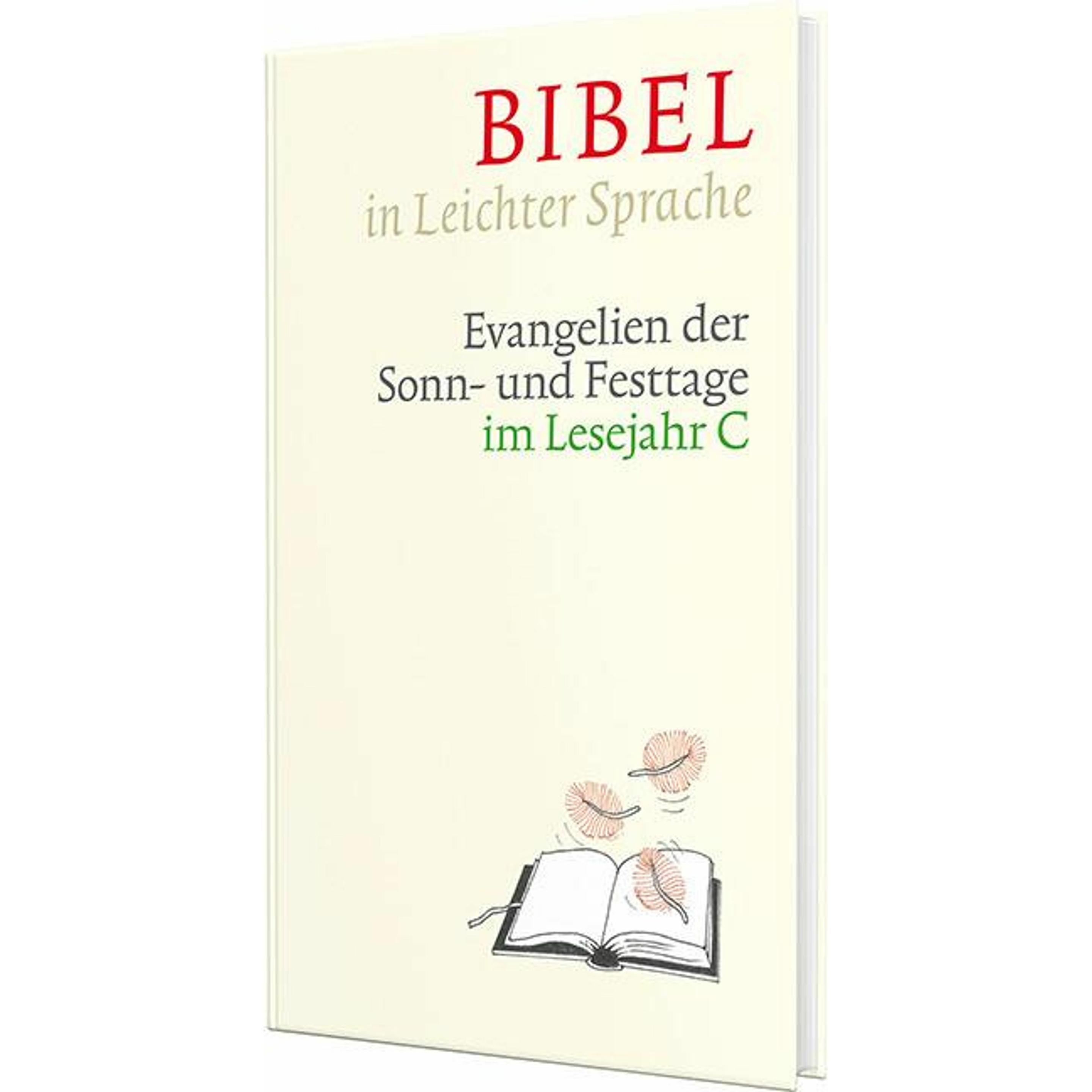 Bibel in Leichter Sprache, Fachbücher von Dieter Bauer, Claudio Ettl, Paulis Mels