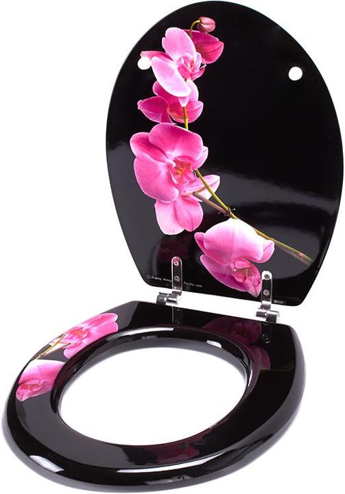 Image du produit MSV Lanyu