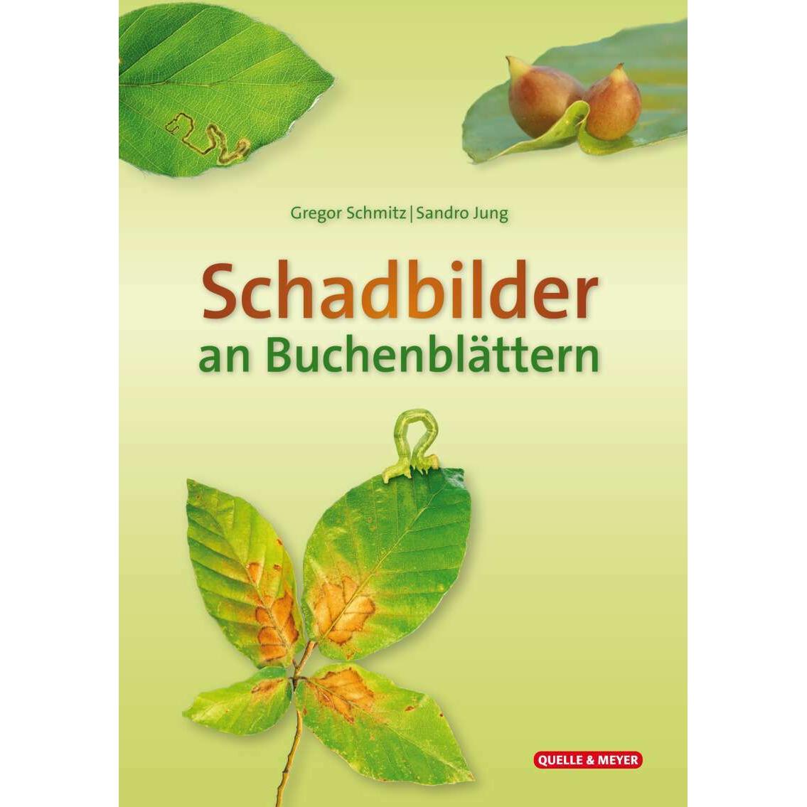 Schadbilder an Buchenblättern, Fachbücher von Gregor Schmitz, Sando Jung