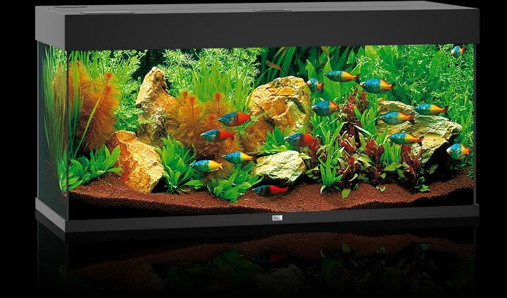 Immagine prodotto Juwel Aquarium Rio (180 l)