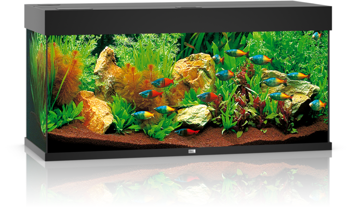 Actual product image Juwel Aquarium Rio (180 l)