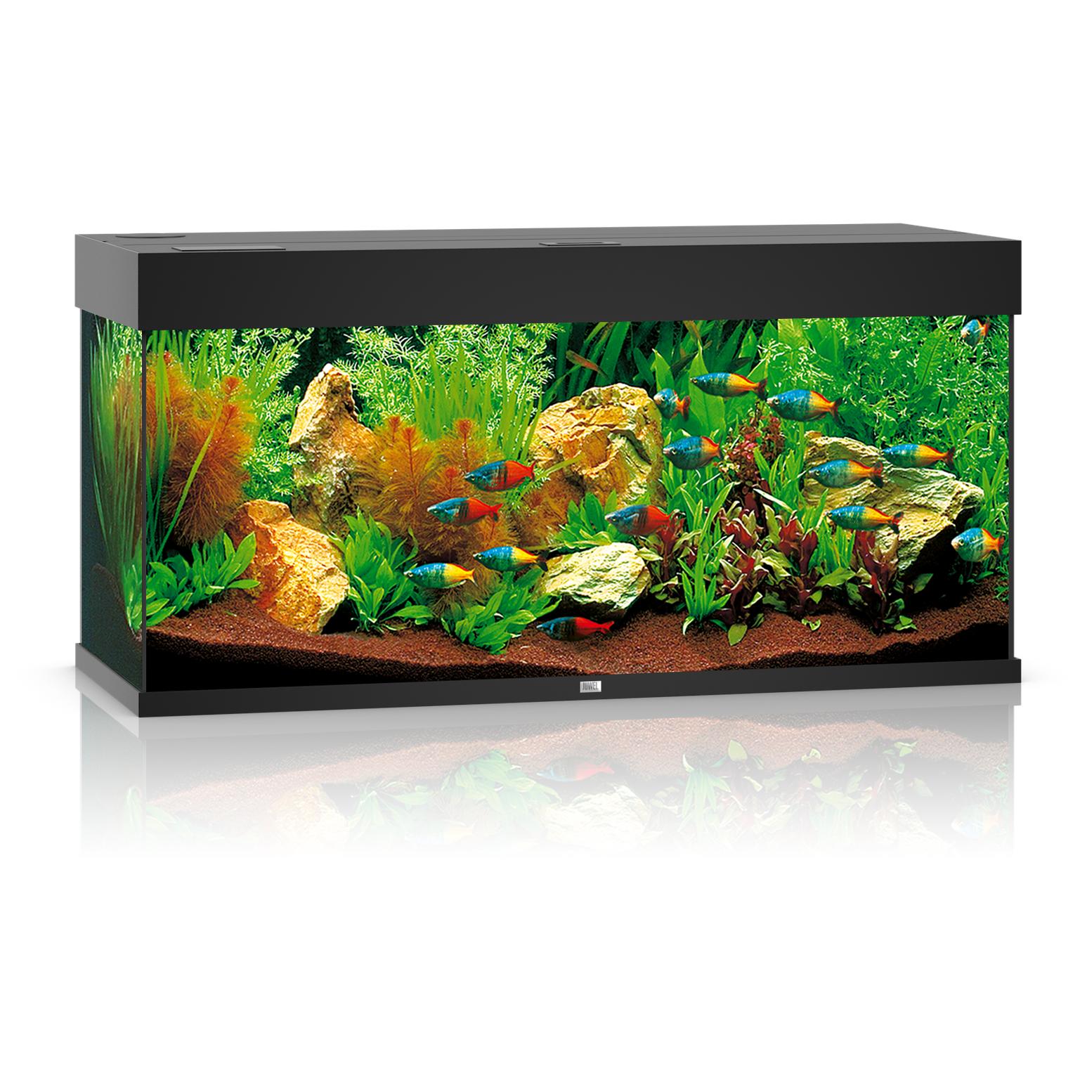 Juwel Aquarium Rio (180 l) - buy at Galaxus