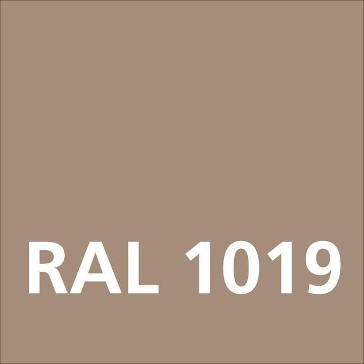 Actual product image Dupli-Color Glossy acrylic paint RAL 1019 grey beige (gray beige, 0.40 l)