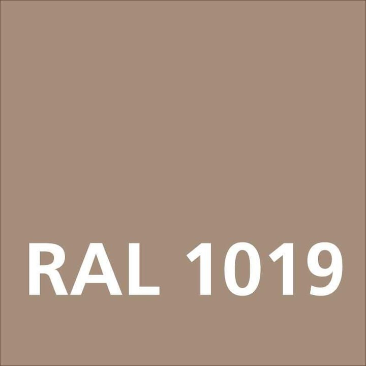 Immagine prodotto Dupli-Color Lacca acrilica lucida RAL 1019 grigio beige (Grigio beige, 0.40 l)