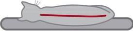 Immagine prodotto Trixie Emil (96 cm, Grigio chiaro)