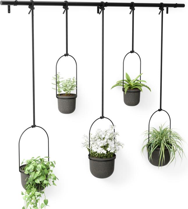 Produktbild Umbra Triflora (15 x 95 cm)