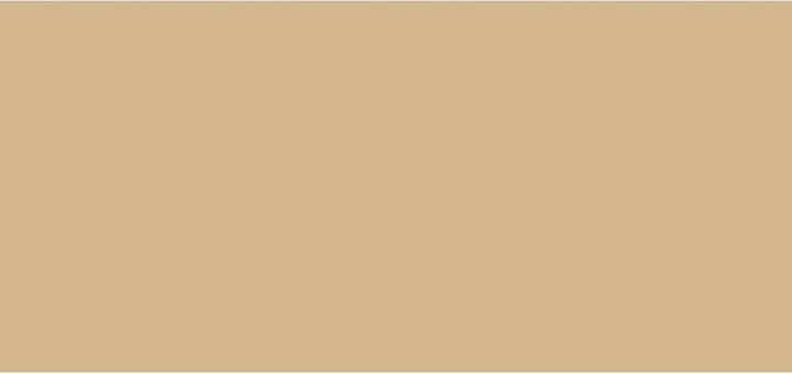 Actual product image Lancôme Teint Idole Ultra Wear All Over Concealer Beige Porcelaine 10 (010 Ivoire)