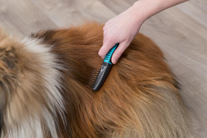 Produktbild Trixie Fell-Entfilzer (Hund)