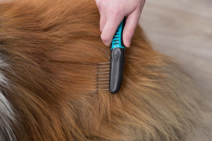 Produktbild Trixie Fell-Entfilzer (Hund)