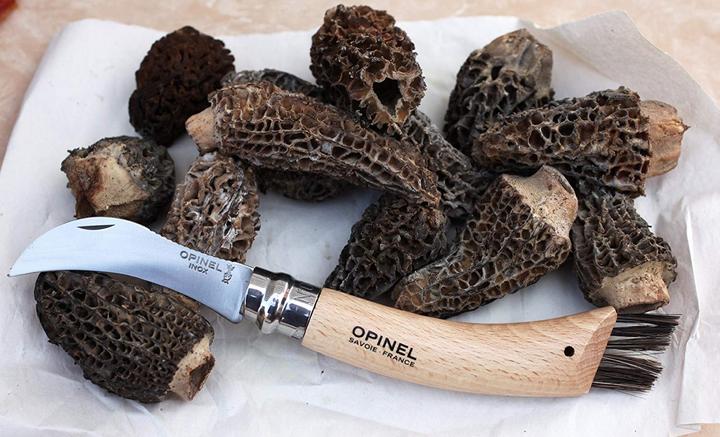 Actual product image Opinel No. 8 (7 cm)