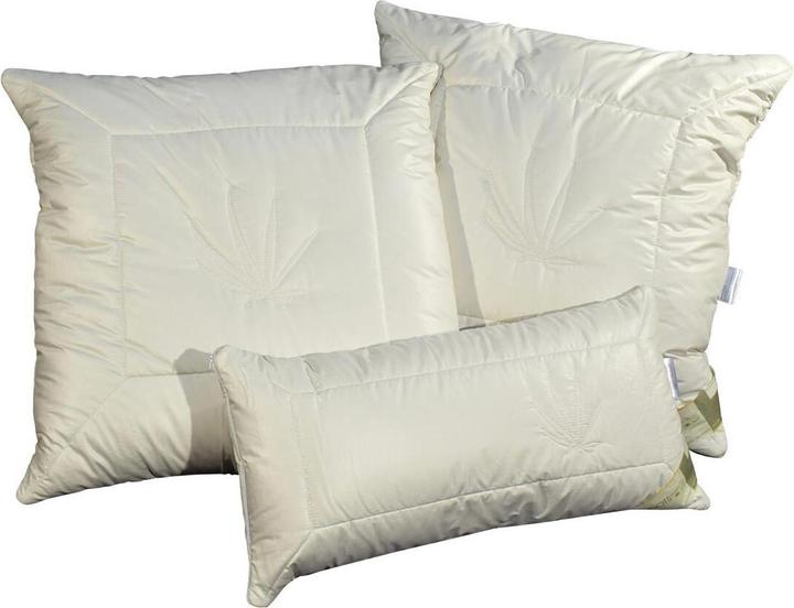 Actual product image Traumschlaf BIO Hemp (40 x 80 cm)