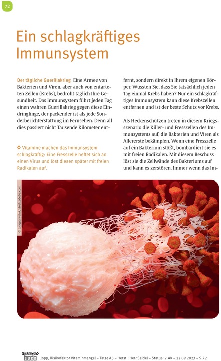 Actual product image Risikofaktor Vitaminmangel (German, Andreas Jopp, 2024)