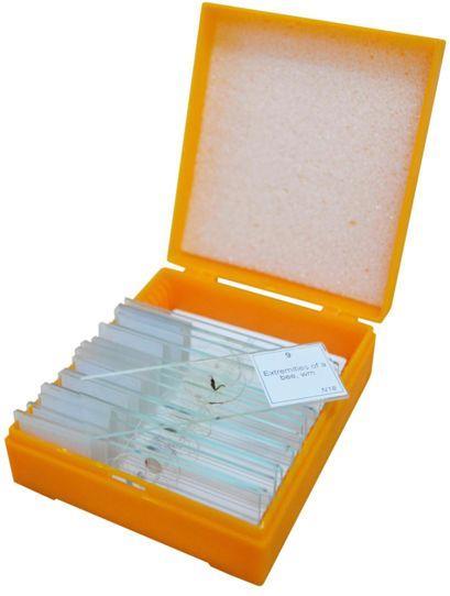 Actual product image Levenhuk N18 NG Slide Set