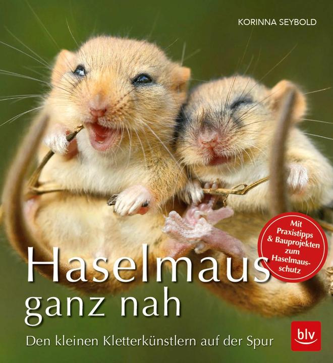 Produktbild Haselmaus ganz nah (Deutsch, Korinna Seybold, 2018)