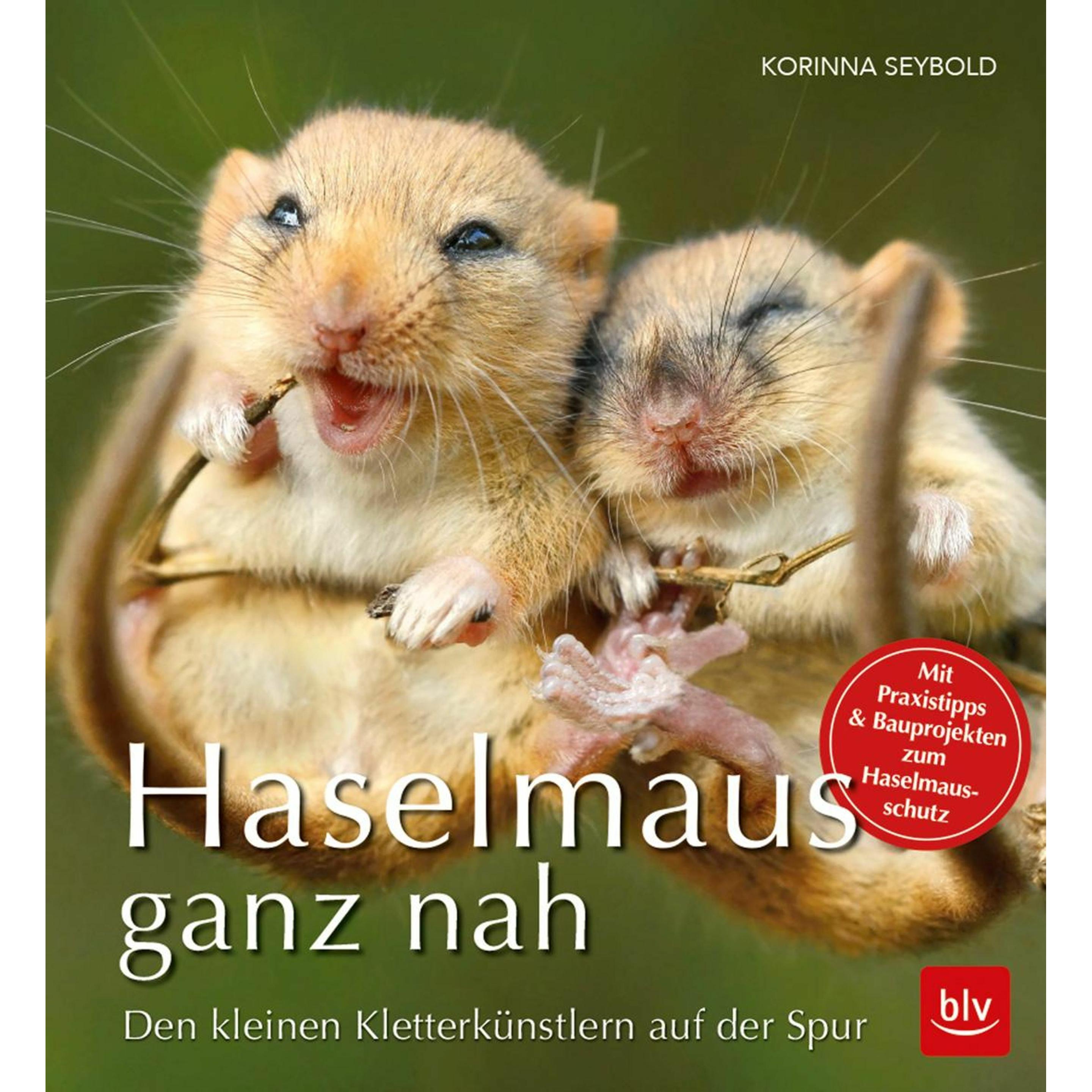 Haselmaus ganz nah, Ratgeber von Korinna Seybold