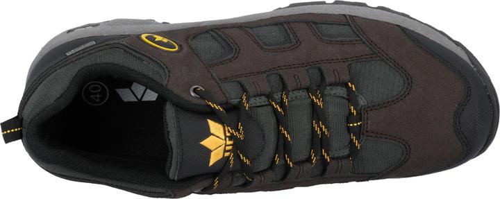 Immagine prodotto Lico Eagar Low (44)