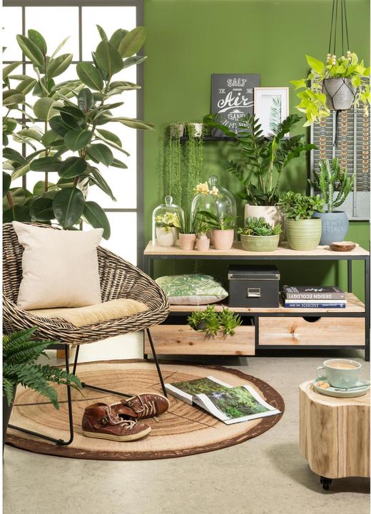 Produktbild Scheurich Blumentopf Grün Ø 21,5 cm (21.50 cm)