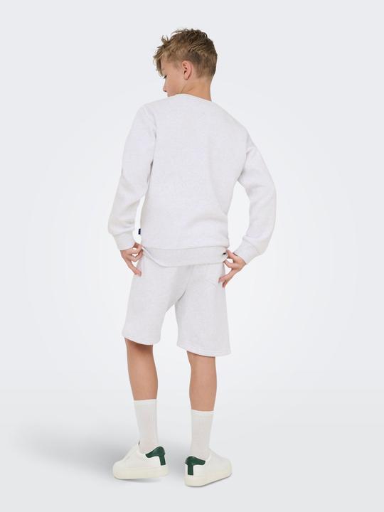 Produktbild Only & Sons Osjceres Crew Neck Swt Noos (134, 140)